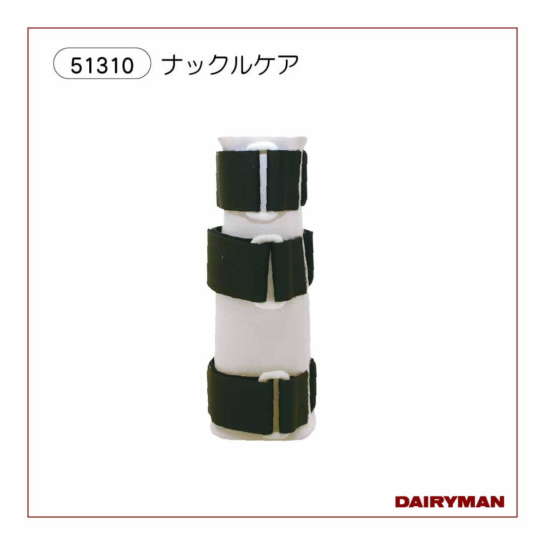 牛の臨床 3 DAIRYMAN 最新〉主要症状を基礎にした牛の臨床3 ※前払専用商品※｜デーリィマン社